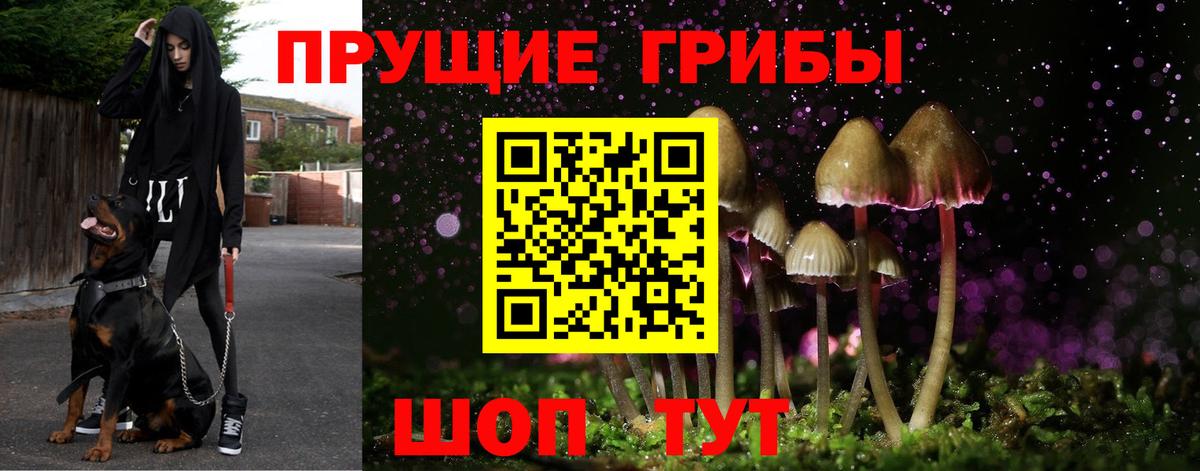 Псилоцибиновые грибы Psilocybine cubensis  Вход с VPN  Галлюциногенные грибы прущие грибы  Губаха 