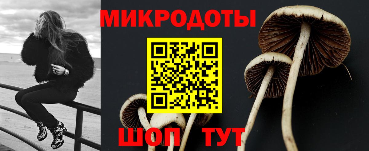 Галлюциногенные грибы ЛСД Губаха